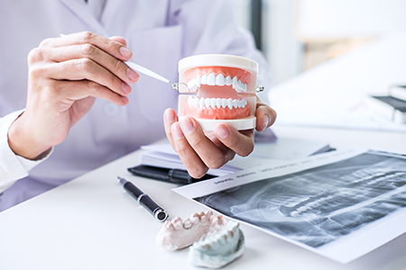 A dentist holding a model mouth with teeth for demonstration purposes while seated at a desk with dental equipment and images.