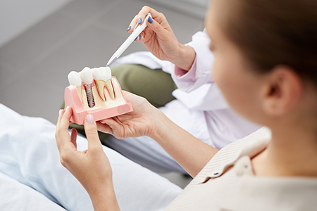 A person holding a dental model with a toothbrush, appearing to demonstrate oral hygiene practices.